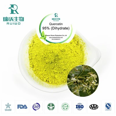 Pukal serbuk quercetin